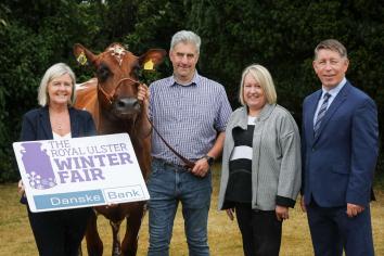 No cattle classes at Winter Fair this week