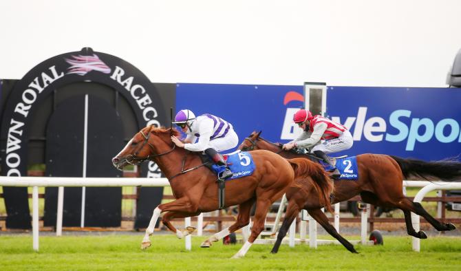 Down Royal Boxing Day races brought forward