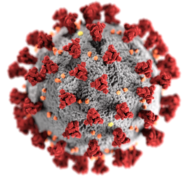Covid-19 related deaths in Northern Ireland: March 2020 to October 2021