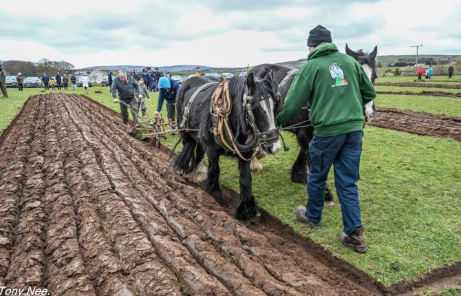 Ballycastle & District Horse Ploughing Society postpone St Patrick&rsquo;s Day match